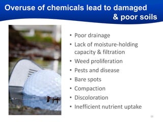 Overuse of chemicals lead to damaged
& poor soils

OM

Topsoil
Subsoil

• Poor drainage
• Lack of moisture-holding
capacity & filtration
• Weed proliferation
• Pests and disease
• Bare spots
• Compaction
• Discoloration
• Inefficient nutrient uptake
10

 