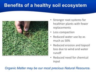 Benefits of a healthy soil ecosystem

OM

Topsoil
Subsoil

• Stronger root systems for
healthier plants with fewer
replacements
• Less compaction
• Reduced water use by as
much as 50%
• Reduced erosion and topsoil
loss due to wind and water
runoff
• Reduced need for chemical
input

11
Organic Matter may be our most precious Natural Resource.

 