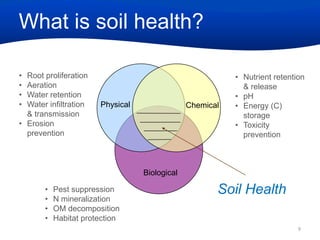 What is soil health?
•
•
•
•

Root proliferation
Aeration
Water retention
Water infiltration
& transmission
• Erosion
prevention

Physical

Chemical

• Nutrient retention
& release
• pH
• Energy (C)
storage
• Toxicity
prevention

Biological
•
•
•
•

Pest suppression
N mineralization
OM decomposition
Habitat protection

Soil Health
9

 