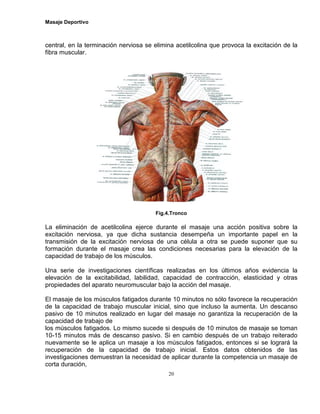 Masaje Deportivo
20
central, en la terminación nerviosa se elimina acetilcolina que provoca la excitación de la
fibra muscular.
Fig.4.Tronco
La eliminación de acetilcolina ejerce durante el masaje una acción positiva sobre la
excitación nerviosa, ya que dicha sustancia desempeña un importante papel en la
transmisión de la excitación nerviosa de una célula a otra se puede suponer que su
formación durante el masaje crea las condiciones necesarias para la elevación de la
capacidad de trabajo de los músculos.
Una serie de investigaciones científicas realizadas en los últimos años evidencia la
elevación de la excitabilidad, labilidad, capacidad de contracción, elasticidad y otras
propiedades del aparato neuromuscular bajo la acción del masaje.
El masaje de los músculos fatigados durante 10 minutos no sólo favorece la recuperación
de la capacidad de trabajo muscular inicial, sino que incluso la aumenta. Un descanso
pasivo de 10 minutos realizado en lugar del masaje no garantiza la recuperación de la
capacidad de trabajo de
los músculos fatigados. Lo mismo sucede si después de 10 minutos de masaje se toman
10-15 minutos más de descanso pasivo. Si en cambio después de un trabajo reiterado
nuevamente se le aplica un masaje a los músculos fatigados, entonces si se logrará la
recuperación de la capacidad de trabajo inicial. Estos datos obtenidos de las
investigaciones demuestran la necesidad de aplicar durante la competencia un masaje de
corta duración,
 