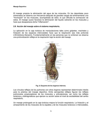 Masaje Deportivo
26
El masaje propicia la eliminación del agua de los músculos. En los deportistas poco
entrenados se observa con frecuencia después de grandes cargas de entrenamiento una
"hinchazón" en los músculos, acompañada de dolor, lo que dificulta la contracción de
estos. El masaje suave favorece la eliminación del líquido sobrante en los músculos y
hace que desaparezca dicha "inflamación".
2.8 Acción del masaje sobre el sistema respiratorio.
La aplicación en la caja torácica de manipulaciones tales como golpeteo, macheteo y
frotación de los espacios intercostales hace que la respiración sea más profunda
(I.M.Zarkizov-Serazini). Fundamentalmente en las personas que no entrenan se observa
una profundización refleja en la respiración bajo la acción del masaje.
Fig. 6. Esquema de los órganos internos.
Los vínculos reflejos de los pulmones con otros órganos representan determinado interés
para la práctica del masaje deportivo. Entre semejantes reflejos figuran los reflejos
pulmonares propioceptores de los músculos y articulaciones, así como los reflejos
torácicos y diafragmáticos que ejercen su acción sobre el nivel de excitabilidad del centro
respiratorio.
Un masaje prolongado en la caja torácica mejora la función respiratoria. La frotación y el
amasamiento de los músculos de la espalda y de los músculos torácicos e intercostales,
 