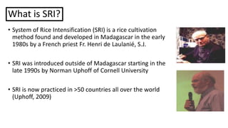 What is SRI?
• System of Rice Intensification (SRI) is a rice cultivation
method found and developed in Madagascar in the ...