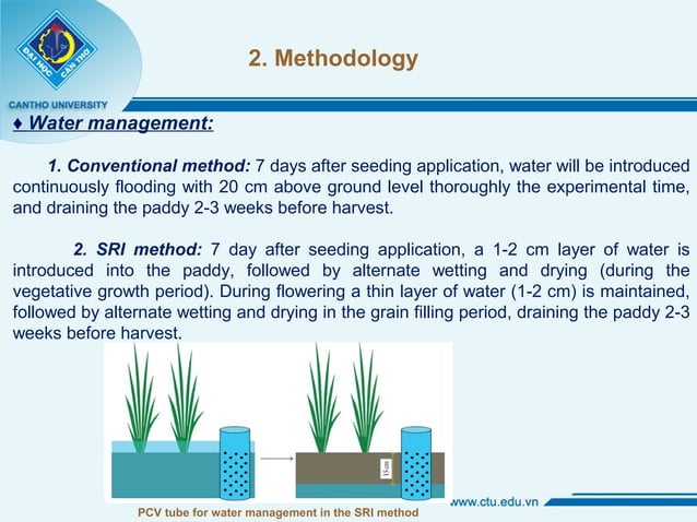1449 - Azolla Rice Duck Fish Farming Systems with SRI Methods in the ...