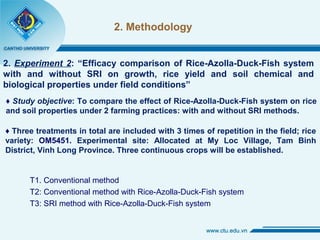 2. Methodology
2. Experiment 2: “Efficacy comparison of Rice-Azolla-Duck-Fish system
with and without SRI on growth, rice yield and soil chemical and
biological properties under field conditions”
♦ Study objective: To compare the effect of Rice-Azolla-Duck-Fish system on rice
and soil properties under 2 farming practices: with and without SRI methods.
♦ Three treatments in total are included with 3 times of repetition in the field; rice
variety: OM5451. Experimental site: Allocated at My Loc Village, Tam Binh
District, Vinh Long Province. Three continuous crops will be established.
T1. Conventional method
T2: Conventional method with Rice-Azolla-Duck-Fish system
T3: SRI method with Rice-Azolla-Duck-Fish system
 