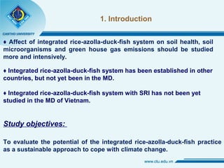 ♦ Affect of integrated rice-azolla-duck-fish system on soil health, soil
microorganisms and green house gas emissions should be studied
more and intensively.
♦ Integrated rice-azolla-duck-fish system has been established in other
countries, but not yet been in the MD.
♦ Integrated rice-azolla-duck-fish system with SRI has not been yet
studied in the MD of Vietnam.
Study objectives:
1. Introduction
To evaluate the potential of the integrated rice-azolla-duck-fish practice
as a sustainable approach to cope with climate change.
 