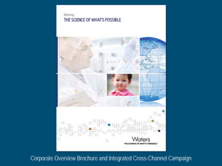 Corporate Overview Brochure and Integrated Cross-Channel Campaign
 