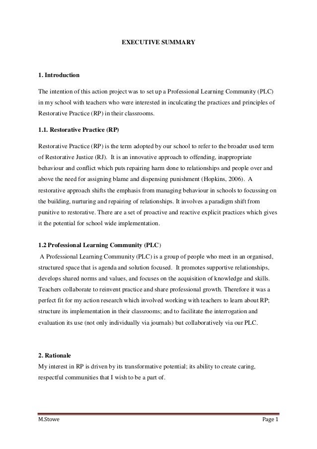 EXECUTIVE SUMMARY Essay Example | Topics and Well Written Essays - words executive summary essay