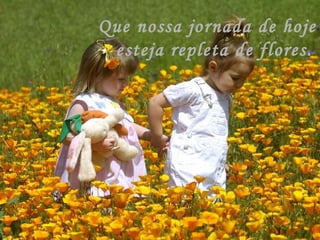 Que nossa jornada de hoje  esteja repleta de flores. 