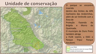 O parque se encontra
inserido
dentro dos limites da APA
Cachoeira das Andorinhas,
além de ser limítrofe com a
Área de
Proteção Fazenda da
Brígida e Morro da
Queimada.
O município de Ouro Preto
também abriga
a FLOE Uaimii, a ESEC e
Parque Tripuí Parque
Itacalomi.
 