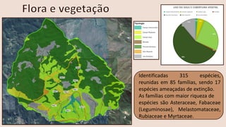 Identificadas 315 espécies,
reunidas em 85 famílias, sendo 17
espécies ameaçadas de extinção.
As famílias com maior riqueza de
espécies são Asteraceae, Fabaceae
(Leguminosae), Melastomataceae,
Rubiaceae e Myrtaceae.
 