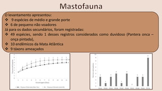 O levantamento apresentou:
❖ 9 espécies de médio e grande porte
❖ 6 de pequeno não voadores
Já para os dados secundários, foram registradas:
❖ 49 espécies, sendo 1 desses registros considerados como duvidoso (Pantera onca –
onça pintada),
❖ 10 endêmicos da Mata Atlântica
❖ 9 táxons ameaçados
 