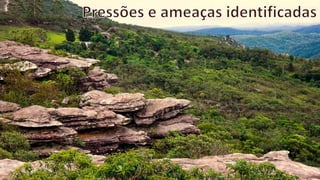 oficina plano de manejo