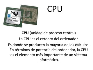 CPU
CPU (unidad de proceso central)
La CPU es el cerebro del ordenador.
Es donde se producen la mayoría de los cálculos.
En términos de potencia del ordenador, la CPU
es el elemento más importante de un sistema
informático.
 