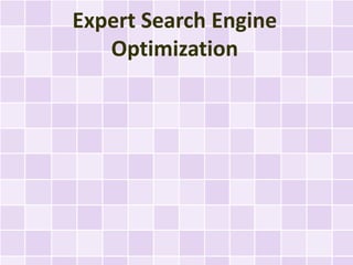 Expert Search Engine
   Optimization
 