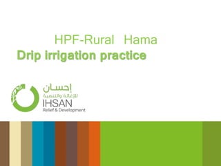 HPF-Rural Hama
Drip irrigation practice
 