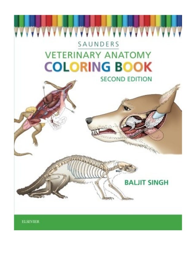 Veterinary Anatomy Coloring Book Free Download Robertdee.org Veterinary Anatomy Coloring Book Free Download Robertdee.org