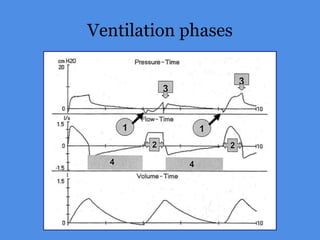 Ventilation phases
 