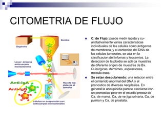 CITOMETRIA DE FLUJO
 C. de Flujo: puede medir rapida y cu-
antitativamente varias caracteristicas
individuales de las celulas como antigenos
de membrana, y el contenido del DNA de
las celulas tumorales, se usa en la
clasificacion de linfomas y leucemias. La
deteccion de la ploidia se apli ca muestras
de diferente origen de muestras de Bx.
Quirurgicas, derrames, aspiraciones,
medula osea.
 Se estan descubriendo: una relacion entre
el contenido anormal del DNA y el
pronostico de diversas neoplasias. En
general la aneuploidia parece asociarse con
un pronostico peor en el estadio precoz de
Ca. de mama, Ca, de ve jiga urinaria, Ca, de
pulmon y Ca, de prostata.
 
