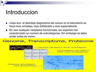 Introduccion
 Cada ano, el abordaje diagnostico del cancer en el laboratorio se
hace mas complejo, mas sofisticado y mas especializado.
 En casi cualquier neoplasia mencionada, los expertos han
caracterizado un numero de subcategorias, Sin embargo se debe
andar antes de correr.
 