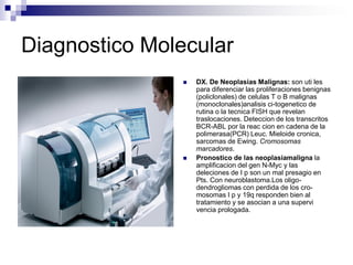 Diagnostico Molecular
 DX. De Neoplasias Malignas: son uti les
para diferenciar las proliferaciones benignas
(policlonales) de celulas T o B malignas
(monoclonales)analisis ci-togenetico de
rutina o la tecnica FISH que revelan
traslocaciones. Deteccion de los transcritos
BCR-ABL por la reac cion en cadena de la
polimerasa(PCR) Leuc. Mieloide cronica,
sarcomas de Ewing. Cromosomas
marcadores.
 Pronostico de las neoplasiamaligna la
amplificacion del gen N-Myc y las
deleciones de I p son un mal presagio en
Pts. Con neuroblastoma.Los oligo-
dendrogliomas con perdida de los cro-
mosomas I p y 19q responden bien al
tratamiento y se asocian a una supervi
vencia prologada.
 
