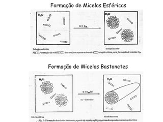 Formação de Micelas Esféricas

Formação de Micelas Bastonetes

 