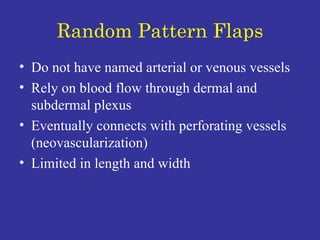 Random Pattern Flaps Do not have named arterial or venous vessels Rely on blood flow through dermal and subdermal plexus Eventually connects with perforating vessels (neovascularization) Limited in length and width 