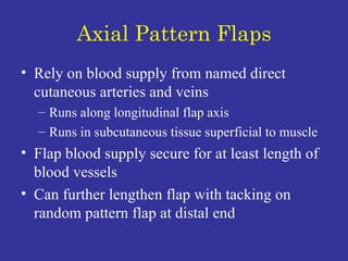 Axial Pattern Flaps Rely on blood supply from named direct cutaneous arteries and veins  Runs along longitudinal flap axis  Runs in subcutaneous tissue superficial to muscle Flap blood supply secure for at least length of blood vessels Can further lengthen flap with tacking on random pattern flap at distal end 