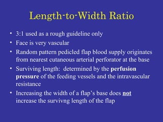 Length-to-Width Ratio 3:1 used as a rough guideline only Face is very vascular Random pattern pedicled flap blood supply originates from nearest cutaneous arterial perforator at the base Surviving length:  determined by the  perfusion pressure  of the feeding vessels and the intravascular resistance Increasing the width of a flap’s base does  not  increase the survivng length of the flap 