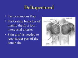 Deltopectoral Faciocutaneous flap Perforating branches of mainly the first four intercostal arteries  Skin graft is needed to reconstruct part of the donor site 