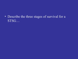 Describe the three stages of survival for a STSG… 