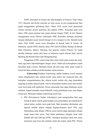 ESWL ditemukan di Jerman dan dikembangkan di Perancis. Pada Tahun
1971, Haeusler dan Kiefer memulai uji coba secara in-vitro penghancuran batu
ginjal menggunakan gelombang kejut. Tahun 1974, secara resmi pemerintah
Jerman memulai proyek penelitian dan aplikasi ESWL. Kemudian pada awal
tahun 1980, pasien pertama batu ginjal diterapi dengan ESWL di kota Munich
menggunakan mesin Dornier Lithotripter HMI. Kemudian berbagai penelitian
lanjutan dilakukan secara intensif dengan in-vivo maupun in-vitro. Barulah mulai
tahun 1983, ESWL secara resmi diterapkan di Rumah Sakit di Jerman. Di
Indonesia, sejarah ESWL dimulai tahun 1987 oleh Prof.Djoko Raharjo di Rumah
Sakit Pertamina, Jakarta. Sekarang, alat generasi terbaru Perancis ini sudah
dimiliki beberapa rumah sakit besar di Indonesia seperti Rumah Sakit Advent
Bandung dan Rumah Sakit Cipto Mangunkusumo.
Penggunaan ESWL untuk terapi batu ureter distal pada wanita dan anak-
anak juga harus dipertimbangkan dengan serius. Sebab ada kemungkinan terjadi
kerusakan pada ovarium. Meskipun belum ada data yang valid, untuk wanita di
bawah 40 tahun sebaiknya diinformasikan sejelas-jelasnya
Endourologi.Tindakan Endourologi adalah tindakan invasif minimal
untuk mengeluarkan batu saluran kemih yang terdiri atas memecah batu, dan
kemudian mengeluarkannya dari saluran kemih melalui alat yang dimasukkan
langsung ke dalam saluran kemih. Alat itu dimasukkan melalui uretra atau melalui
insisi kecil pada kulit (perkutan). Proses pemecahan batu dapat dilakukan secara
mekanik, dengan memakai energi hidraulik, energi gelombang suara, atau dengan
energi laser. Beberapa tindakan endourologi antara lain:
• PNL (Percutaneous Nephro Litholapaxy) yaitu mengeluarkan batu yang
berada di dalam saluran ginjal dengan cara memasukkan alat endoskopi ke
sistem kalises melalui insisi pada kulit. Batu kemudian dikeluarkan atau
dipecah terlebih dahulu menjadi fragmen-fragmen kecil. PNL yang
berkembang sejak dekade 1980-an secara teoritis dapat digunakan sebagai
terapi semua batu ureter. Tapi dalam prakteknya sebagian besar telah
diambil alih oleh URS dan ESWL. Meskipun demikian untuk batu ureter
proksimal yang besar dan melekat masih ada tempat untuk PNL. Prinsip
19
 