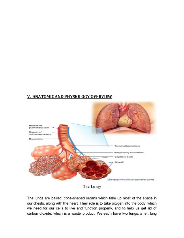 hospital acquired pneumonia case study hospital acquired pneumonia case study