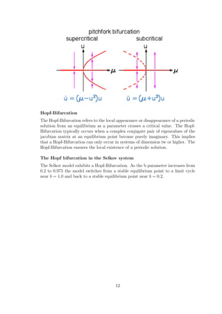 Hopf-Bifurcation
The Hopf-Bifurcation refers to the local appearance or disappearance of a periodic
solution from an equilibrium as a parameter crosses a critical value. The Hopf-
Bifurcation typically occurs when a complex conjugate pair of eigenvalues of the
jacobian matrix at an equilibrium point become purely imaginary. This implies
that a Hopf-Bifurcation can only occur in systems of dimension tw or higher. The
Hopf-Bifurcation ensures the local existence of a periodic solution.
The Hopf bifurcation in the Selkov system
The Selkov model exhibits a Hopf-Bifurcation. As the b parameter increases from
0.2 to 0.975 the model switches from a stable equilibrium point to a limit cycle
near b = 1.0 and back to a stable equilibrium point near b = 0.2.
12
 