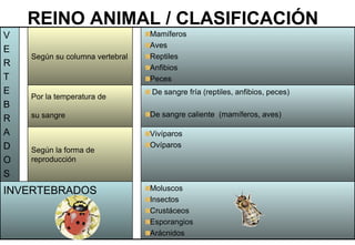146 2 animales_clasificacion[1]