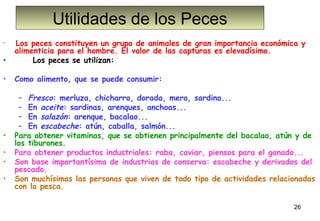 Utilidades de los Peces
•

•
 
•
 

•
•
•
•

Los peces constituyen un grupo de animales de gran importancia económica y
alimenticia para el hombre. El valor de las capturas es elevadísimo.
     Los peces se utilizan:
Como alimento, que se puede consumir:
– Fresco: merluza, chicharro, dorada, mero, sardina...
– En aceite: sardinas, arenques, anchoas...
– En salazón: arenque, bacalao...
– En escabeche: atún, caballa, salmón...
Para obtener vitaminas, que se obtienen principalmente del bacalao, atún y de
los tiburones.
Para obtener productos industriales: raba, caviar, piensos para el ganado...
Son base importantísima de industrias de conserva: escabeche y derivados del
pescado.
Son muchísimas las personas que viven de todo tipo de actividades relacionadas
con la pesca.
26

 