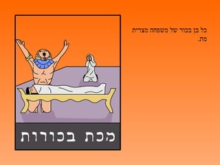 ‫כל בן בכור של משפחה מצרית‬
                      ‫מת.‬
 