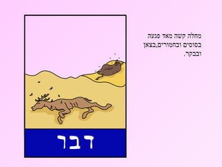 ‫מחלה קשה מאד פגעה‬
‫בסוסים ובחמורים,בצאן‬
              ‫ובבקר.‬
 