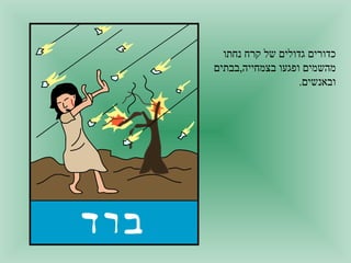 ‫כדורים גדולים של קרח נחתו‬
‫מהשמים ופגעו בצמחייה,בבתים‬
                   ‫ובאנשים.‬
 