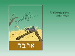 ‫חרקים השמידו את כל‬
      ‫השדות והיבול.‬
 