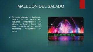 MALECÓN DEL SALADO
 Se puede disfrutar en familia de
paseos por el estero en
pequeñas embarcaciones y
admirar la flora y fauna del
estero; además se encuentran
discotecas, restaurantes, y
bares.
 