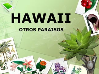 HAWAII OTROS PARAISOS 