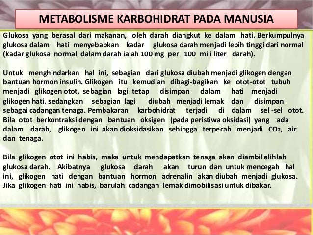 14708259005 karbohidrat, protein, lemak, vitamin, mineral