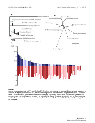 BMC Evolutionary Biology 2006, 6:99                                                    http://www.biomedcentral.com/1471-2148/6/99




  (A)
                                                        Yarrowia lipolytica
                                                                                (B)
                                                                                              Candida albicans
                                                                          Candida dubliniensis        Candida tropicalis
                                           Candida lusitaniae
   A        C
  100                          Candida guilliermondii                Candida parapsilosis
  100                                                                                                           Debaryomyces hansenii
                                    Debaryomyces hansenii
                        Candida tropicalis
         D                                                          Lodderomyces elongisporus
        100         F Candida albicans
                                                                                                                 Candida guilliermondii
                  100 Candida dubliniensis
100
                               Candida parapsilosis                                                     Candida lusitaniae
         B
        100                       Lodderomyces elongisporus
      0.1
                                                                                                                      0.1
      (C)     0.02

                                                                                Yarrowia lipolytica
            0.015




              0.01
                       A
                           B
                                 CD
            0.005
                                       E    F


                  0




            -0.05




                -0.1




            -0.15



                -0.2



Figure consensus supertree of CTG specific clade (A)
Average5
Average consensus supertree of CTG specific clade (A). Y. lipolytica was chosen as an outgroup. Bootstrap scores are shown at
all nodes. (B) A phylogenetic network of 1,208 concatenated genes was inferred with the NeighborNet method. The topolo-
gies of CTG-clade specific supertree and network are congruent. (C) Spectral analysis of the concatenated alignment). Bars
above the x-axis represent frequency of support for each split. Bars below the x-axis represent the sum of all corresponding
conflicts. Letters above columns represent particular splits in the data, and where applicable these have also been mapped onto
the supertree.




                                                                                                                            Page 10 of 15
                                                                                                       (page number not for citation purposes)
 