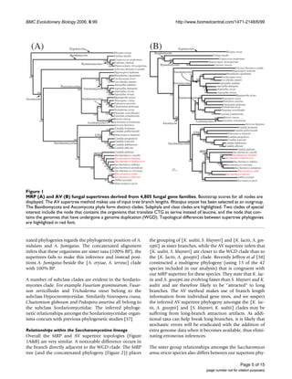 BMC Evolutionary Biology 2006, 6:99                                                                                           http://www.biomedcentral.com/1471-2148/6/99




   (A)                   Zygomycota                                                                     (B)                     Zygomycota
                                                                                                                                                                                   Rhizopus oryzae
                                                                         Rhizopus oryzae                  Basidiomycota
                          Basidiomycota                                  Ustilago maydis                                                                           Ustilago maydis
                                                                          Cryptococcus neoformans              99    100                                                   Cryptococcus neoformans
                                                            100                                                                                               Phanerochaete chrysosporium
                                        Hymenomycetes         100         Coprinus cinereus
                                                                100       Phanerochaete chrysosporium         Hymenomycetes          100                             Coprinus cinereus
                                                                         Schizosaccharomyces pombe                                                                                          Schizosaccharomyces pombe
                                                                                                                          Eurotiomycetes                                                 Stagonospora nodorum
                                                                         Stagonospora nodorum                                                                                      Histoplasma capsulatum
                                                                         Histoplasma capsulatum                                           78         100
  100                                                                                                                                                                         Uncinocarpus reesii
                                                   100       100         Uncinocarpus reesii                                                    100             100          Coccidioides immitis
                                                               100       Coccidioides immitis
                                                                                                                          Pezizomycotina                                    Aspergillus nidulans
                                                                         Aspergillus nidulans                                                                           Aspergillus fumigatus
                   Pezizomycotina                                                                                                                      100
                                  100    Eurotiomycetes 100               Aspergillus fumigatus                                                                          Aspergillus oryzae
                                                                                                                                                          60
                                                              100         Aspergillus oryzae                                                               60             Aspergillus terreus
        100
                                                                100      Aspergillus terreus                         100                                                                     Magnaporthe grisea
                                                                         Magnaporthe grisea                                                         71
Ascomycota                              Sordariomycetes                                                                         Sordariomycetes                                Neurospora crassa
                                                            100
                                                                          Neurospora crassa                                                                                     Podospora anserina
                                                                                                                                                        98
                                                              100        Podospora anserina                                                    100        99                   Chaetomium globosum
                                                      100       100      Chaetomium globosum                                                                                  Trichoderma reesei
                                                                         Trichoderma reesei                                                             93                    Fusarium verticillioides
                                                                         Fusarium verticillioides                                          100
                                                100          100                                                                                                  100       Fusarium graminearum
                                                                         Fusarium graminearum                               100                                       100       Botrytis cinerea
                                                                  100    Botrytis cinerea
         100                                                                                                                                    Leotiomycetes                 Sclerotinia sclerotiorum
                                            Leotiomycetes                Sclerotinia sclerotiorum               Ascomycota
                                                                         Yarrowia lipolytica                                                                                                           Yarrowia lipolytica
                                                                          Candida lusitaniae                                                          100                                       Candida lusitaniae
                                                              100                                                                                                                           Candida guilliermondii
                                                                         Candida guilliermondii
                                                                                                                                             CTG           98                       Debaryomyces hansenii
                                                   CTG             90    Debaryomyces hansenii                                                  100                                  Candida parapsilosis
                            100                       100                 Candida parapsilosis                                                                                       Candida tropicalis
                                                                          Candida tropicalis                                           76               100
               Saccharomycotina                             100
                                                                          Candida dubliniensis                      Saccharomycotina                            100               Candida dubliniensis
                                                              100                                                                                                          100 Candida albicans
                                                                100       Candida albicans
                                                                                                                                                                                              Candida glabrata
                                                                         Candida glabrata                                                           WGD                                    Saccharomyces castellii
                                                   WGD                   Saccharomyces castellii
                                                                                                                                                         86
                                                                                                                                                                            59            Saccharomyces bayanus
                                                      100                                                                                                                         Saccharomyces kudriavzevii
                             100                                    Saccharomyces bayanus                                                                   100
                                                        100                                                                             100
                                                                    Saccharomyces kudriavzevii                                                          95                                 Saccharomyces mikatae
                                                          100                                                                                                            100
                                                                    Saccharomyces mikatae                                                                                  51      Saccharomyces cerevisiae
                                                            100
                                             100              100   Saccharomyces paradoxus                              0.1
                                                                                                                                                                             77             Saccharomyces paradoxus
                                                                100 Saccharomyces cerevisiae                                                                                                   Kluyveromyces waltii
                                                                                                                                                   100
                                                                100 Kluyveromyces waltii                                                                      100                  Saccharomyces kluyveri
                                                                         Saccharomyces kluyveri                                                                                                Ashbya gossypii
                                                             96          Ashbya gossypii                                                                87                                    Kluyveromyces lactis
                                                                    98   Kluyveromyces lactis


Figure 1
MRP (A) and AV (B) fungal supertrees derived from 4,805 fungal gene families
MRP (A) and AV (B) fungal supertrees derived from 4,805 fungal gene families. Bootstrap scores for all nodes are
displayed. The AV supertree method makes use of input tree branch lengths. Rhizopus oryzae has been selected as an outgroup.
The Basidiomycota and Ascomycota phyla form distinct clades. Subphyla and class clades are highlighted. Two clades of special
interest include the node that contains the organisms that translate CTG as serine instead of leucine, and the node that con-
tains the genomes that have undergone a genome duplication (WGD). Topological differences between supertree phylogenies
are highlighted in red font.


nated phylogenies regards the phylogenetic position of A.                                               the grouping of {K. waltii, S. kluyveri} and {K. lactis, A. gos-
nidulans and A. fumigatus. The concatenated alignment                                                   sypii} as sister branches, while the AV supertree infers that
infers that these organisms are sister taxa (100% BP), the                                              {K. waltii, S. kluyveri} are closer to the WGD clade than to
supertrees fails to make this inference and instead posi-                                               the {K. lactis, A. gossypii} clade. Recently Jeffroy et al [38]
tions A. fumigatus beside the {A. oryzae, A. terreus} clade                                             constructed a multigene phylogeny (using 13 of the 42
with 100% BP.                                                                                           species included in our analysis) that is congruent with
                                                                                                        our MRP supertree for these species. They state that K. lac-
A number of subclass clades are evident in the Sordario-                                                tis and A. gossypii are evolving faster than S. kluyveri and K.
mycetes clade. For example Fusarium graminearum, Fusar-                                                 waltii and are therefore likely to be "attracted" to long
ium verticilliodes and Trichoderma reesei belong to the                                                 branches. The AV method makes use of branch length
subclass Hypocreomycetidae. Similarily Neurospora crassa,                                               information from individual gene trees, and we suspect
Chaetomium globosum and Podospora anserina all belong to                                                the inferred AV supertree phylogeny amongst the {K. lac-
the subclass Sordariomycetidae. The inferred phyloge-                                                   tis, A. gossypii} and {S. kluyveri, K. waltii} clades may be
netic relationships amongst the Sordariomycetidae organ-                                                suffering from long-branch attraction artifacts. As addi-
isms concurs with previous phylogenetic studies [37].                                                   tional taxa can help break long branches, it is likely that
                                                                                                        stochastic errors will be eradicated with the addition of
Relationships within the Saccharomycotina lineage                                                       extra genome data when it becomes available, thus elimi-
Overall the MRP and AV supertree topologies (Figure                                                     nating erroneous inferences.
1A&B) are very similar. A noticeable difference occurs in
the branch directly adjacent to the WGD clade. The MRP                                                  The sister group relationships amongst the Saccharomyces
tree (and the concatenated phylogeny (Figure 2)) places                                                 sensu stricto species also differs between our supertree phy-

                                                                                                                                                                                                Page 5 of 15
                                                                                                                                                             (page number not for citation purposes)
 