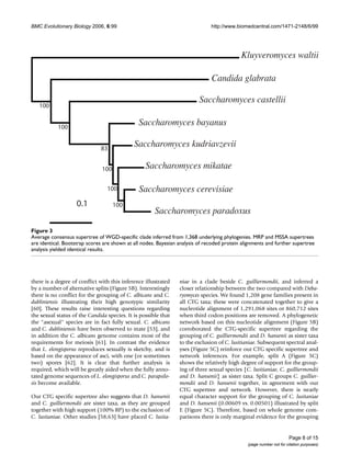 BMC Evolutionary Biology 2006, 6:99                                            http://www.biomedcentral.com/1471-2148/6/99




                                                                                            Kluyveromyces waltii

                                                                               Candida glabrata

                                                                          Saccharomyces castellii
   100


           100
                                               Saccharomyces bayanus

                              83
                                             Saccharomyces kudriavzevii

                               100                Saccharomyces mikatae

                                 100           Saccharomyces cerevisiae
                    0.1              100
                                                      Saccharomyces paradoxus
Figure consensus supertree of WGD-specific clade inferred from 1,368 underlying phylogenies
Average3
Average consensus supertree of WGD-specific clade inferred from 1,368 underlying phylogenies. MRP and MSSA supertrees
are identical. Bootstrap scores are shown at all nodes. Bayesian analysis of recoded protein alignments and further supertree
analysis yielded identical results.




there is a degree of conflict with this inference illustrated    niae in a clade beside C. guilliermondii, and inferred a
by a number of alternative splits (Figure 5B). Interestingly     closer relationship between the two compared with Deba-
there is no conflict for the grouping of C. albicans and C.      ryomyces species. We found 1,208 gene families present in
dubliniensis illustrating their high genotypic similarity        all CTG taxa; these were concatenated together to give a
[60]. These results raise interesting questions regarding        nucleotide alignment of 1,291,068 sites or 860,712 sites
the sexual status of the Candida species. It is possible that    when third codon positions are removed. A phylogenetic
the "asexual" species are in fact fully sexual. C. albicans      network based on this nucleotide alignment (Figure 5B)
and C. dubliniensis have been observed to mate [53], and         corroborated the CTG-specific supertree regarding the
in addition the C. albicans genome contains most of the          grouping of C. guilliermondii and D. hansenii as sister taxa
requirements for meiosis [61]. In contrast the evidence          to the exclusion of C. lusitianiae. Subsequent spectral anal-
that L. elongisporus reproduces sexually is sketchy, and is      yses (Figure 5C) reinforce our CTG specific supertree and
based on the appearance of asci, with one (or sometimes          network inferences. For example, split A (Figure 5C)
two) spores [62]. It is clear that further analysis is           shows the relatively high degree of support for the group-
required, which will be greatly aided when the fully anno-       ing of three sexual species {C. lusitianiae, C. guilliermondii
tated genome sequences of L. elongisporus and C. parapsilo-      and D. hansenii} as sister taxa. Split C groups C. guillier-
sis become available.                                            mondii and D. hansenii together, in agreement with our
                                                                 CTG supertree and network. However, there is nearly
Our CTG specific supertree also suggests that D. hansenii        equal character support for the grouping of C. lusitaniae
and C. guilliermondii are sister taxa, as they are grouped       and D. hansenii (0.00609 vs. 0.00501) illustrated by split
together with high support (100% BP) to the exclusion of         E (Figure 5C). Therefore, based on whole genome com-
C. lusitaniae. Other studies [58,63] have placed C. lusita-      parisons there is only marginal evidence for the grouping


                                                                                                                     Page 8 of 15
                                                                                               (page number not for citation purposes)
 