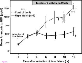 Evaluation of the Hepa Wash treatment in pigs  with acute liver failure