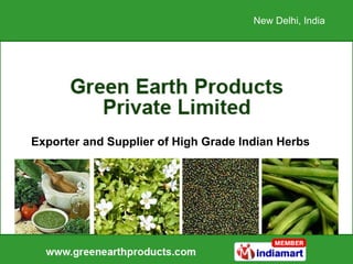 Exporter and Supplier of High Grade Indian Herbs New Delhi, India  