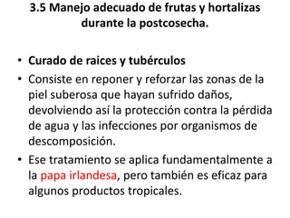 3.5 Manejo adecuado de frutas y hortalizas
durante la postcosecha.
• Curado de raices y tubérculos
• Consiste en reponer y reforzar las zonas de la
piel suberosa que hayan sufrido daños,
devolviendo así la protección contra la pérdida
de agua y las infecciones por organismos de
descomposición.
• Ese tratamiento se aplica fundamentalmente a
la papa irlandesa, pero también es eficaz para
algunos productos tropicales.
 