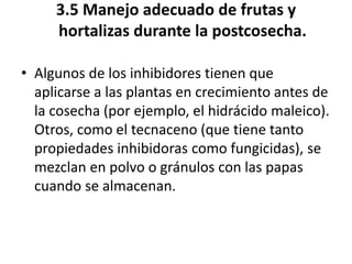 3.5 Manejo adecuado de frutas y
hortalizas durante la postcosecha.
• Algunos de los inhibidores tienen que
aplicarse a las plantas en crecimiento antes de
la cosecha (por ejemplo, el hidrácido maleico).
Otros, como el tecnaceno (que tiene tanto
propiedades inhibidoras como fungicidas), se
mezclan en polvo o gránulos con las papas
cuando se almacenan.
 