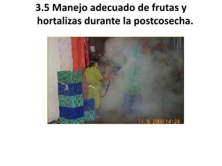3.5 Manejo adecuado de frutas y
hortalizas durante la postcosecha.
 